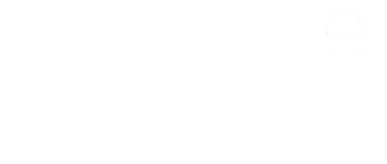 Doppify Logo